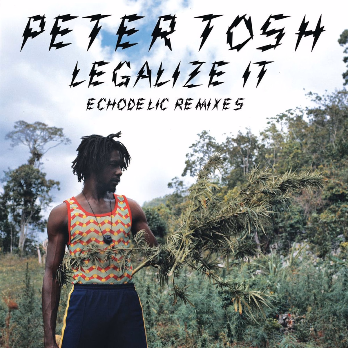 Legalize It: Echodelic Remixes (2012)